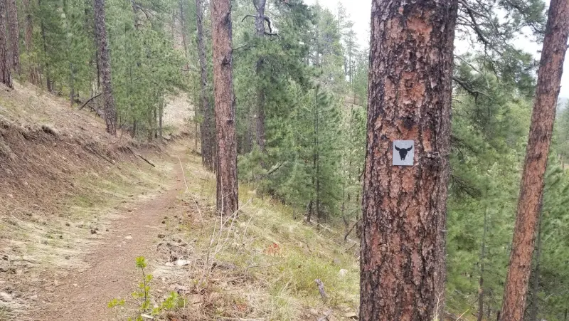 Deadman trail with Marker