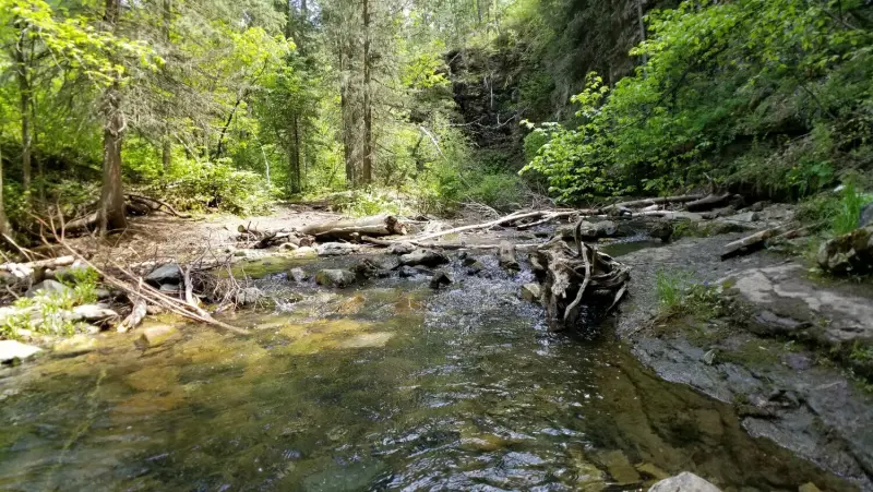 Creek crossing