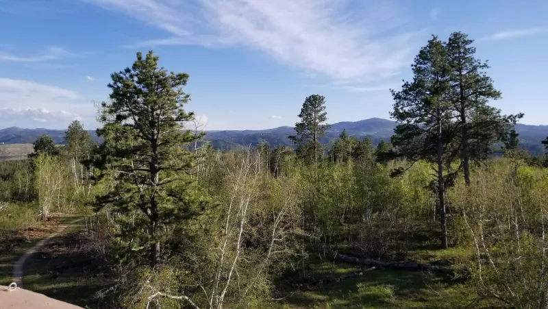 View from the top of the tower