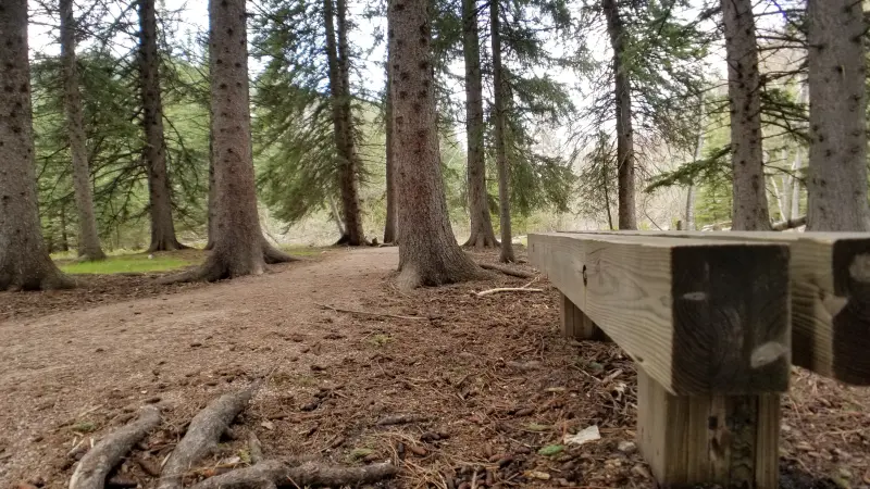 Bench found on Spearfish Falls Trails