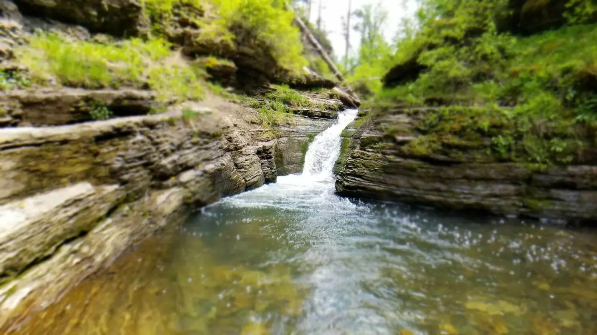 Photo gallery image 20190617_141740.webp