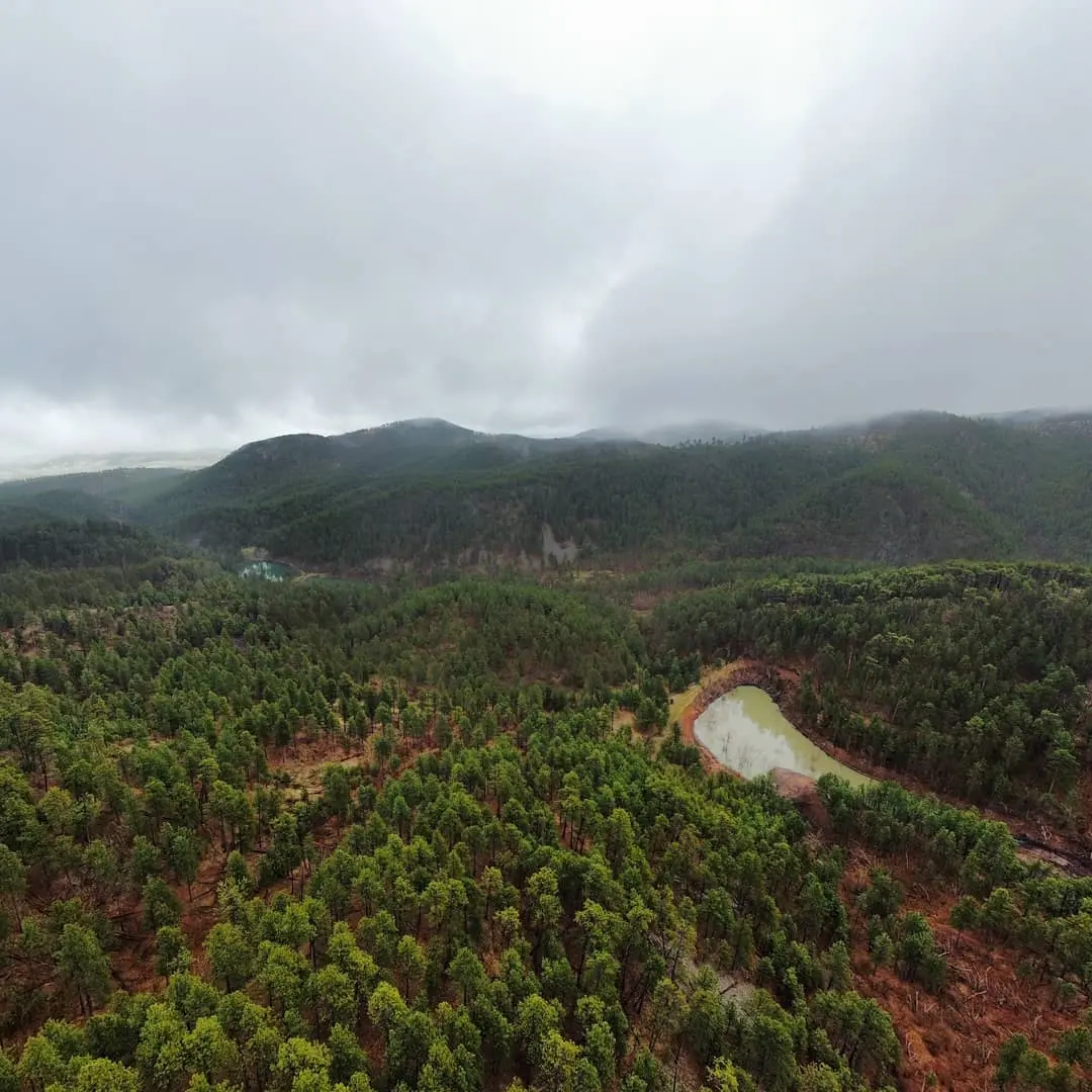 Photo gallery image IMG_20210510_084747_185.webp